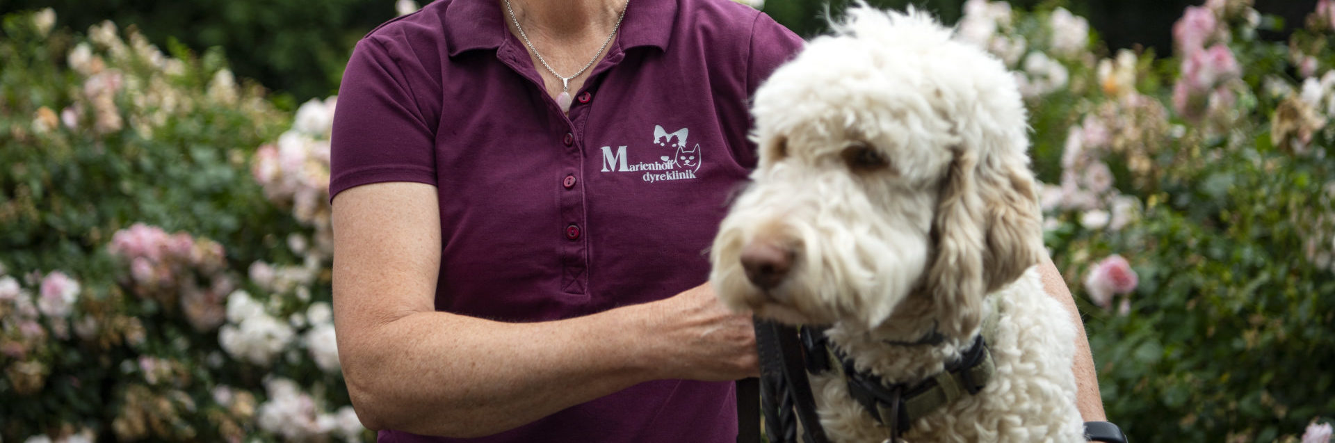 Socialisering af hund kat | siden 2010 | Marienhoff Dyreklinik