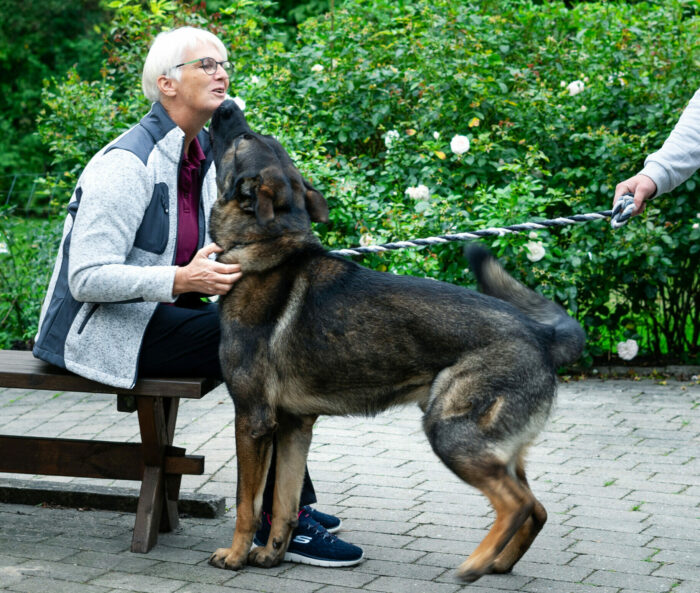 & kastration af hund | siden 2010 | Marienhoff