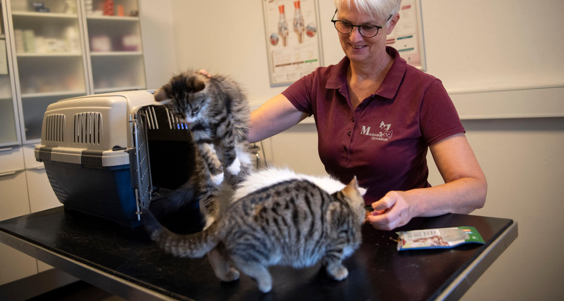 vaccination af kat marienhoff dyreklinik